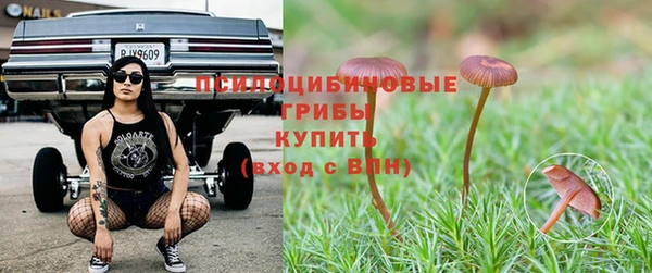 шишки Краснослободск