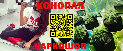 jwh Пенза